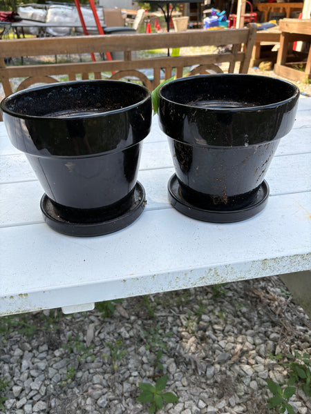Pair of Black Planters w/Saucers