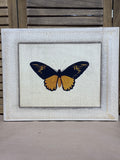 Yellow & Black Butterfly Print on Canvas