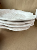 White Bordallo Cabbage Salad Plates - Set Of 6