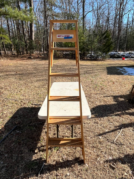 Werner 6' Wooden Ladder