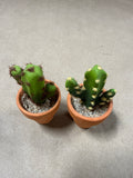 Pair Of Mini Artificial Cactus Plants