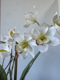 Faux White Orchids in Crackled Cream Ceramic Planter