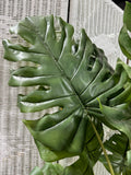 Faux Swiss Cheese Ficus Style Plant