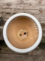 (B)Glazed Pottery Planter