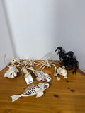Halloween Animal Skeleton Lot - 10 Pieces