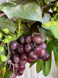 Large Faux Greenery Wreath with Succulents & Grapes