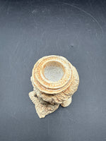Greek Style Candle Holder