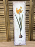 Tall Narcissus Print on Burlap