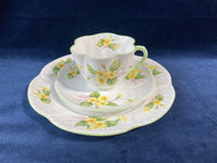 Shelley Primrose Bone China Tea Trio