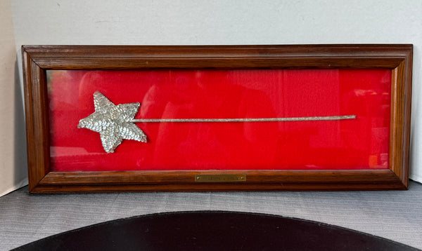 Sequined Wand in Frame Titled “Star on Stick”