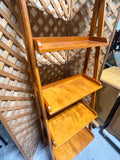 Ladder Shelf