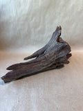 Small Driftwood (A)
