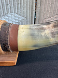 Mounted Longhorn Steer Horns