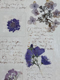 Print of Purple Dried Flowers by Maureen Love; Signed (A)