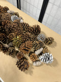Pine Cone Lot