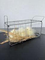 Farmhouse Metal Wire Basket with Faux Fuzzy Chicks