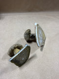 Pair Of Petosky Stone Mushrooms