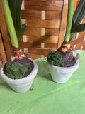 Pair of Faux Red Amaryllis Flowers in Cream Color Ceramic Pots (E)