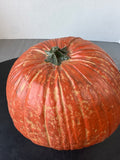 Realistic Resin Pumpkin