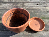 8” Terracotta Pot + Saucer