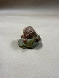 Tom Clark Acorn Woman