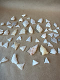 Lot Of Arrowheads (E)