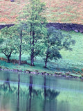 “Reflecting” Lake District England Photo by Mary Louise Ravese; Signed