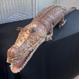 Sunny & Co. Large Plush Alligator