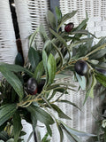 Faux Olive Tree in Spray Wreath