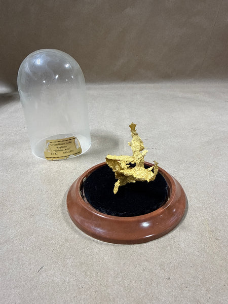 (B) Crystalized Gold Replicas In Dome Case