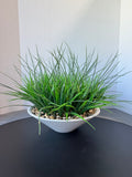 Artificial Greenery with Rocks in White Painted Wooden Bowl