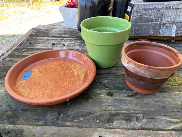 Planting Lot (4 pieces)