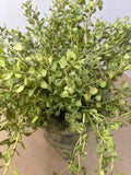 Faux Cement Urn with Greenery