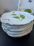 14-Piece Godinger & Co. Jardin China Set