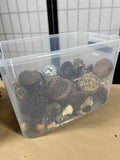 Bin of Decorative Potpourri/Bowl Filler Containing Dried Botanicals, Pinecones and Woven Spheres