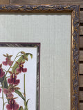 Orchid Botanical Print (A)