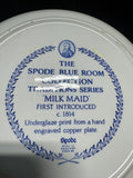 24-Piece Spode The Blue Room Collection China Set