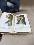American Bird Books - Pair