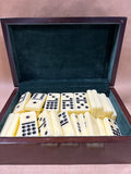 Dominos Set In case