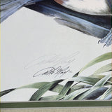 Signed Print of Widgeon Ducks