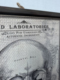 Mad Laboratories Framed Skull Hanging Halloween Decor