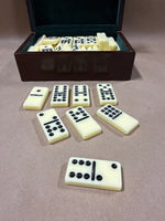 Dominos Set In case