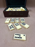 Dominos Set In case