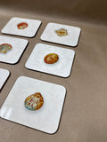 Sea Walk Williamsburg Coasters - Set Of 6