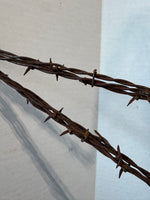 Pair of Rustic Barbed Wire Stars