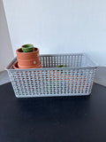 Lot Of Terra Cotta Planters And Mini Orchid Planters
