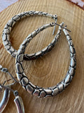 (D) Pair of Silver Tone Earrings