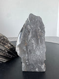 Pair of Polished Orthoceras Cephalopod Fossil Inlay Heavyweight Limestone Bookends