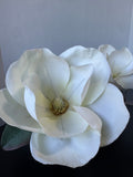 Pair of Faux Magnolia Arrangements in Glass Pots