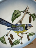 W. Goebel Blue Titmouse Hanging Plate (B)